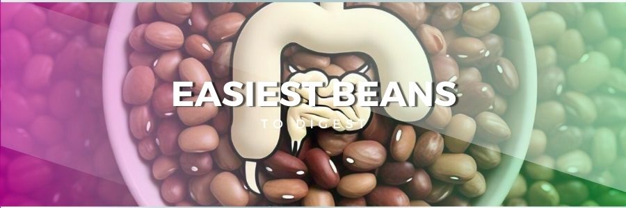 A bowl of beans centrally placed with a simple digestive system icon subtly above it, keeping the ease of digestion clear in the center.
